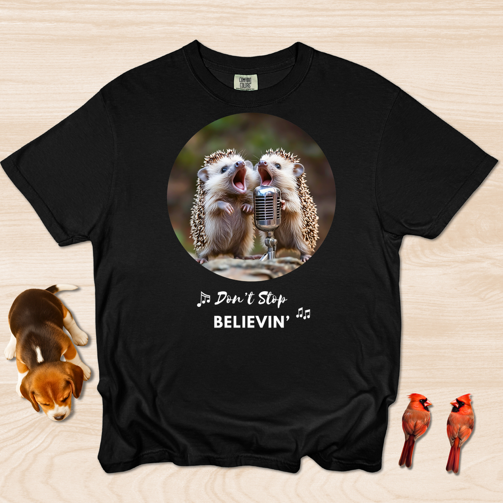 Don't Stop Believin'