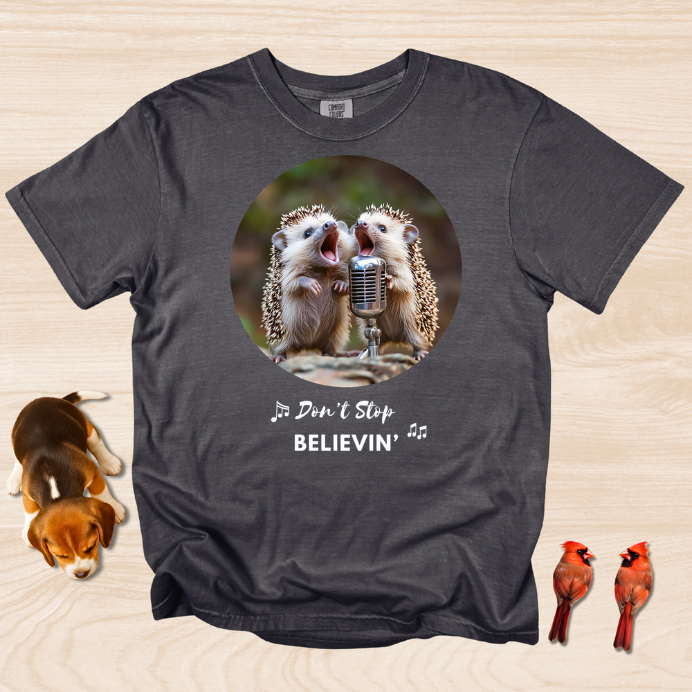 Don't Stop Believin'