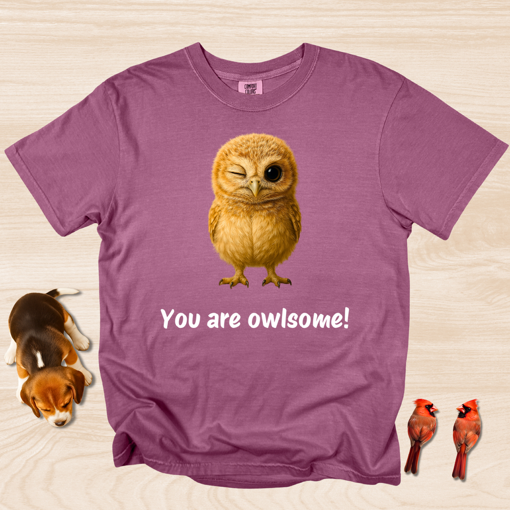 Cute Baby Owl Shirt Owlsome