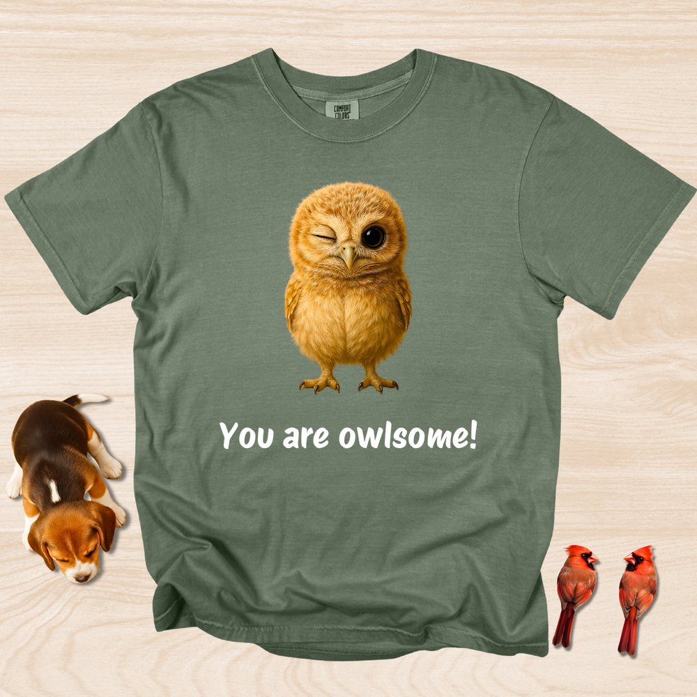 Cute Baby Owl Shirt Owlsome