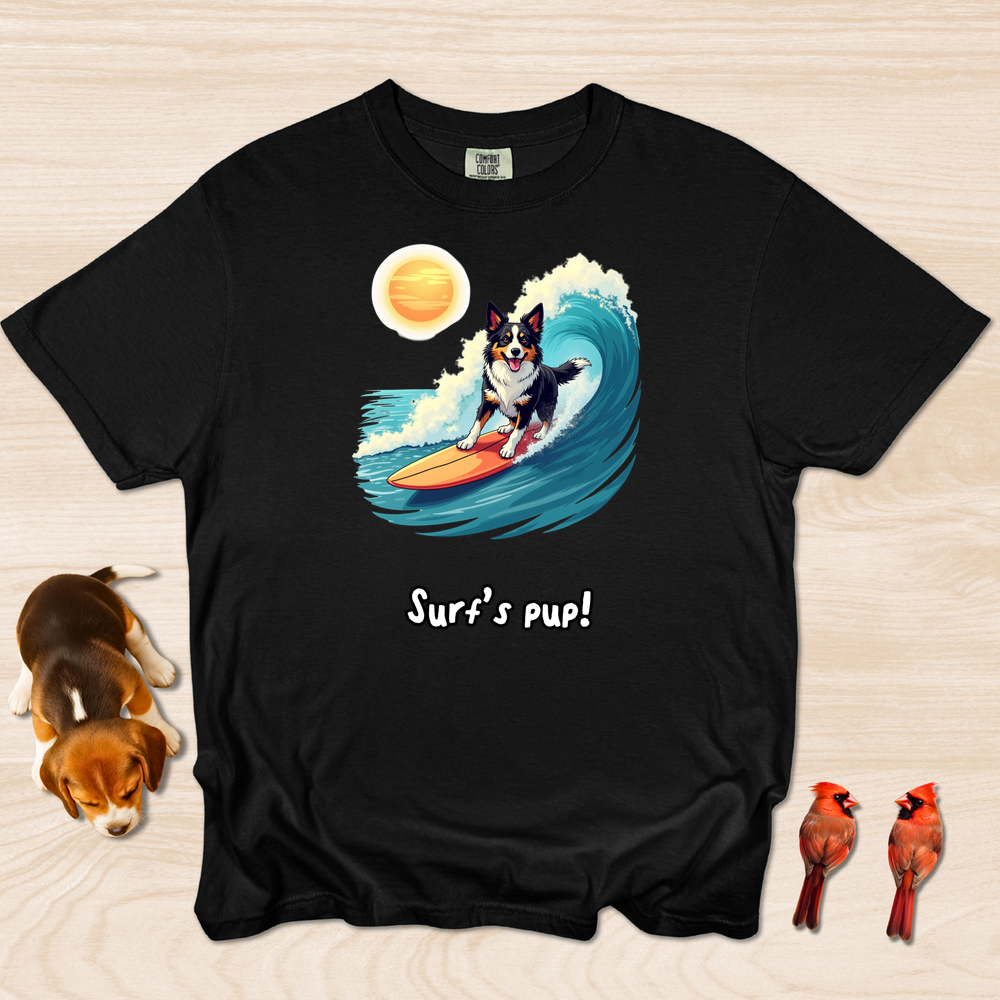 Border Collie Surfing