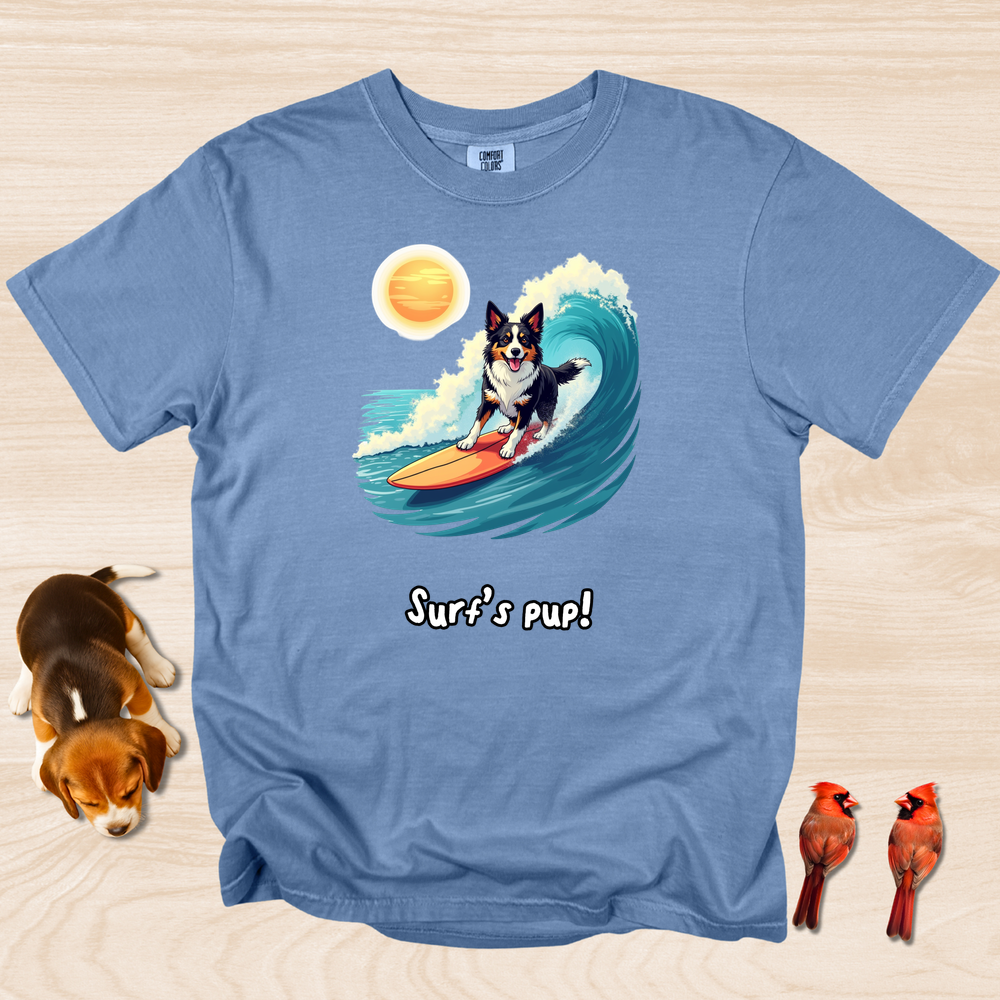 Border Collie Surfing