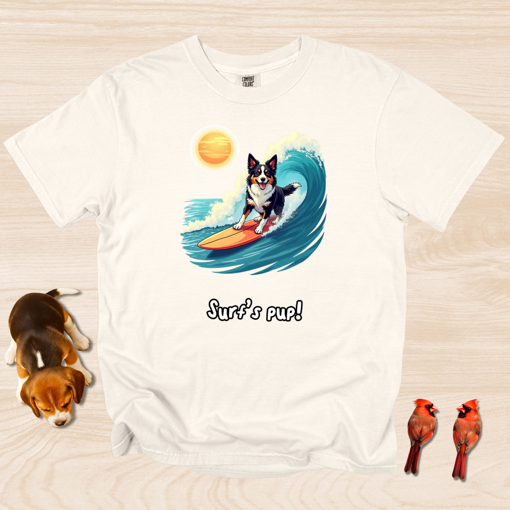 Border Collie Surfing