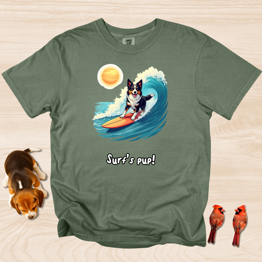 Border Collie Surfing