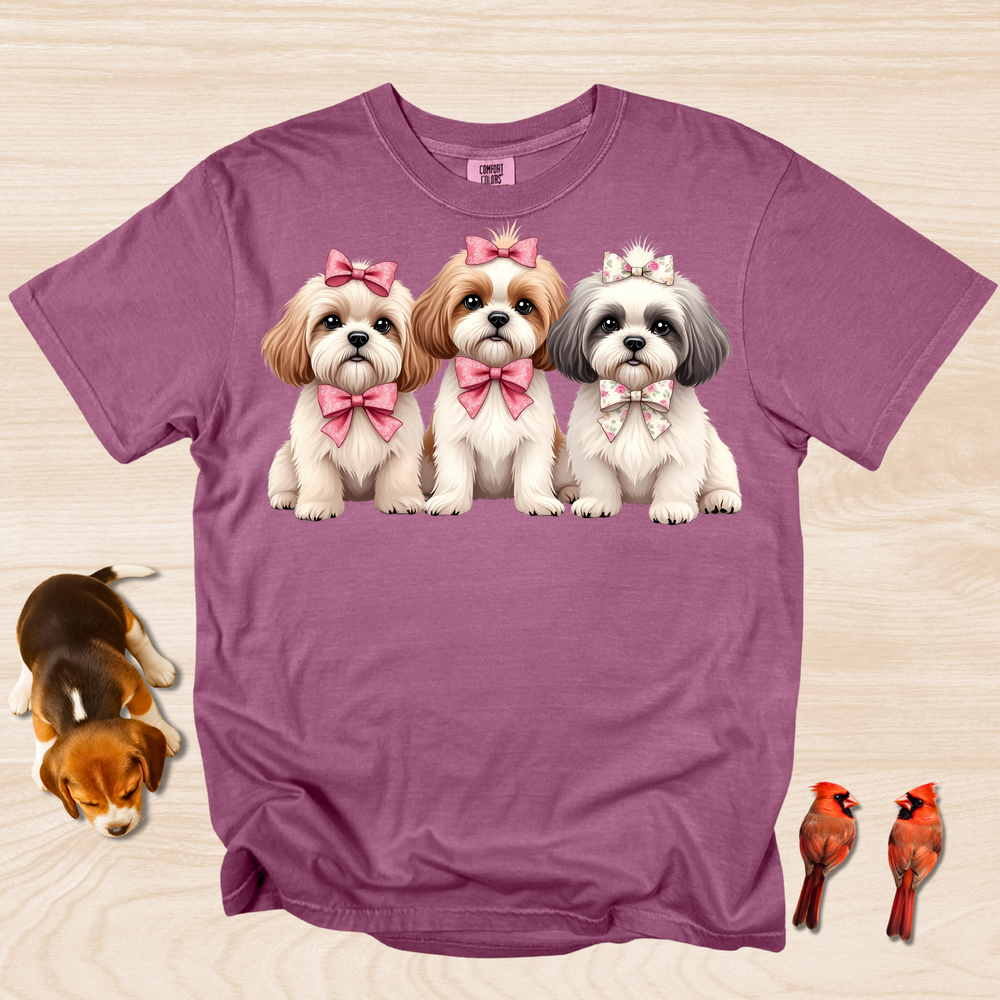 Shih Tzu Trio with Bows