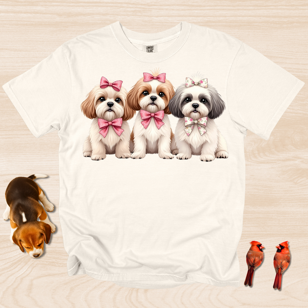 Shih Tzu Trio with Bows