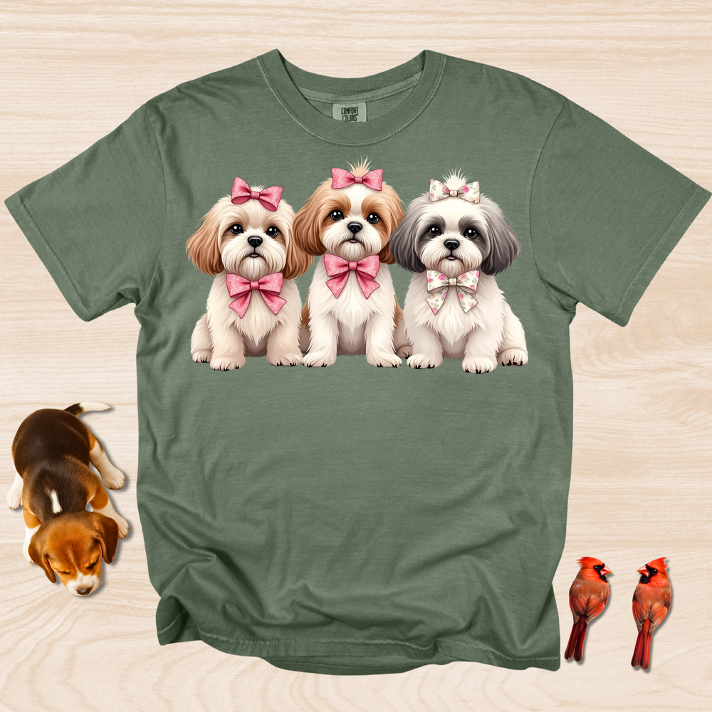 Shih Tzu Trio with Bows