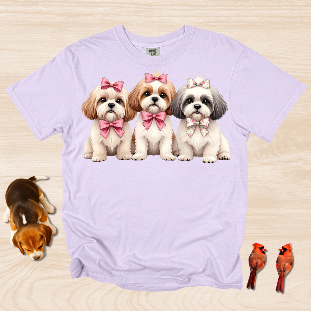 Shih Tzu Trio with Bows