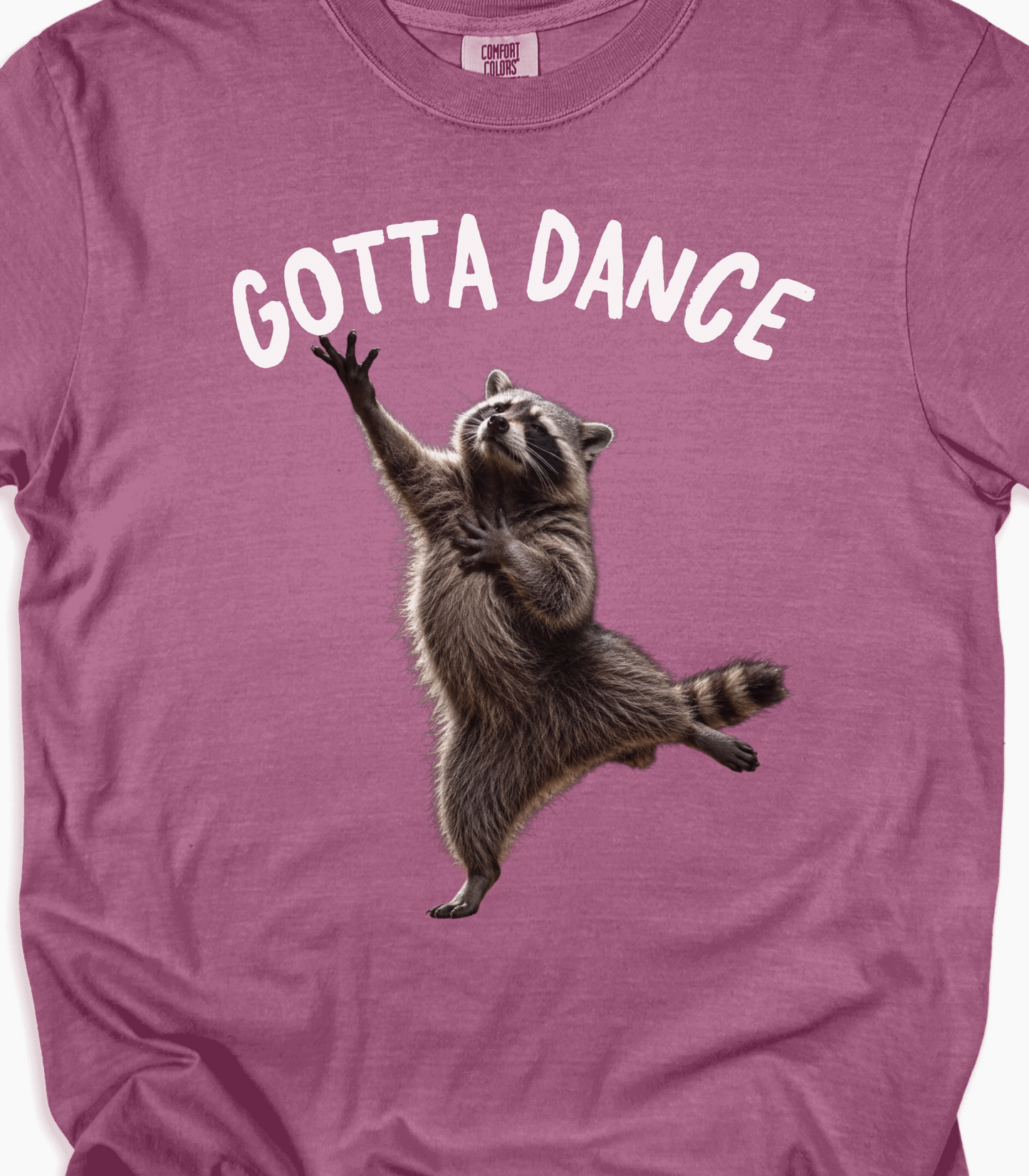 Funny Raccoon Dance Shirt - Cute Quirky Animal Lover Gift