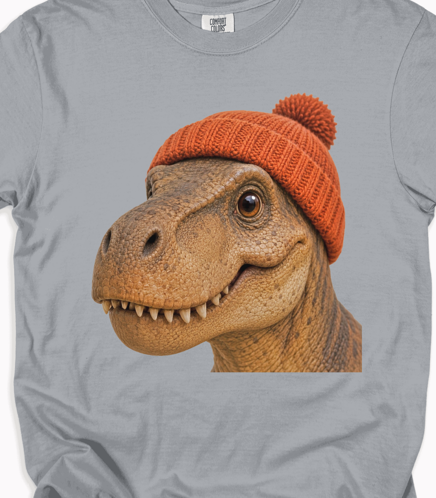 Dinosaur Graphic T-Shirt with Orange Beanie - Cute Gift