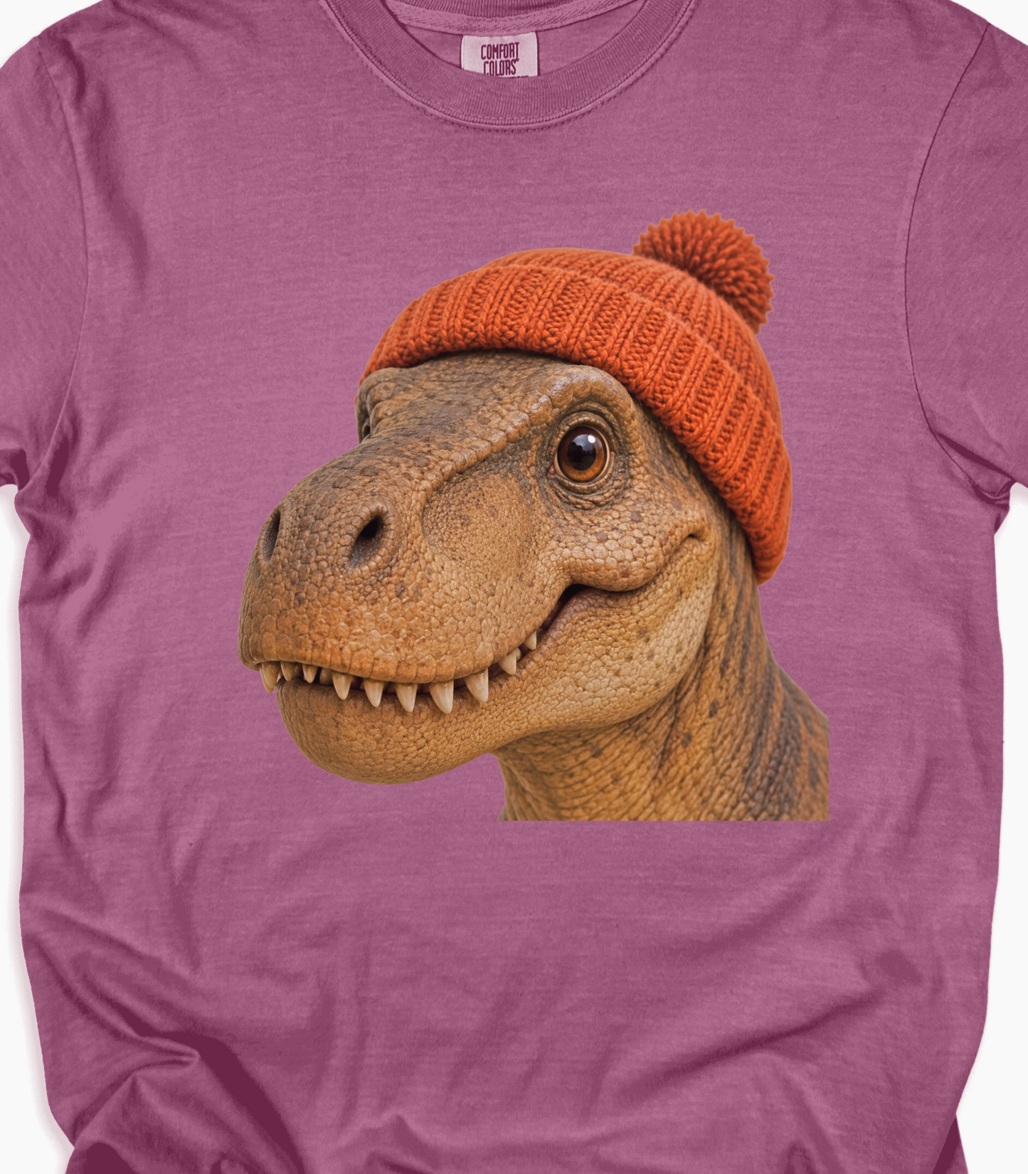 Dinosaur Graphic T-Shirt with Orange Beanie - Cute Gift