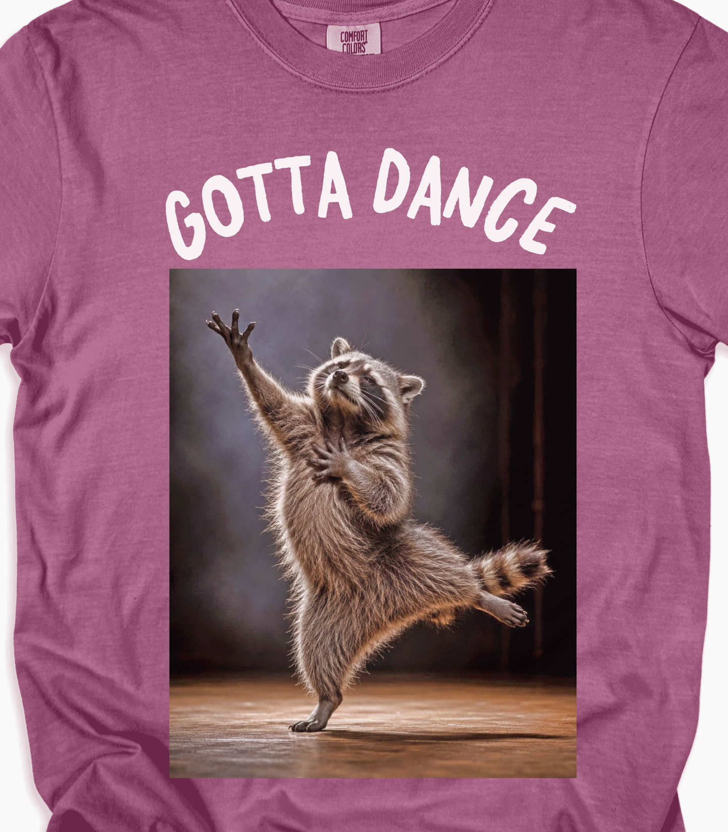 Funny Raccoon Dance Shirt - Cute Animal Tee Gift
