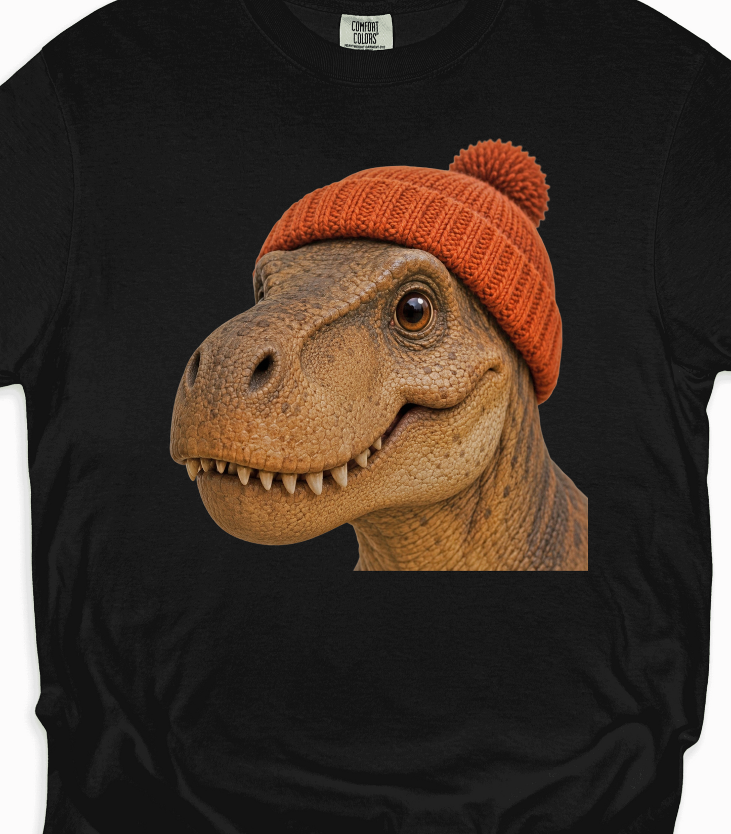 Dinosaur Graphic T-Shirt with Orange Beanie - Cute Gift
