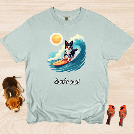 Border Collie Surfing
