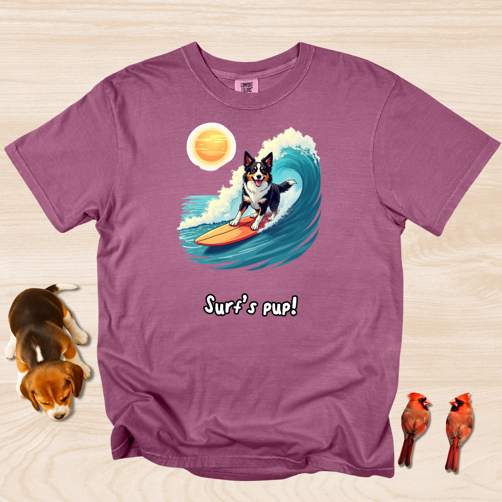 Border Collie Surfing