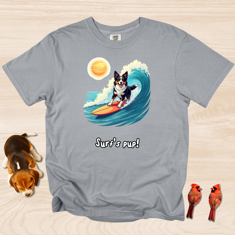 Border Collie Surfing