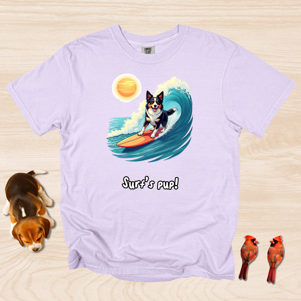 Border Collie Surfing