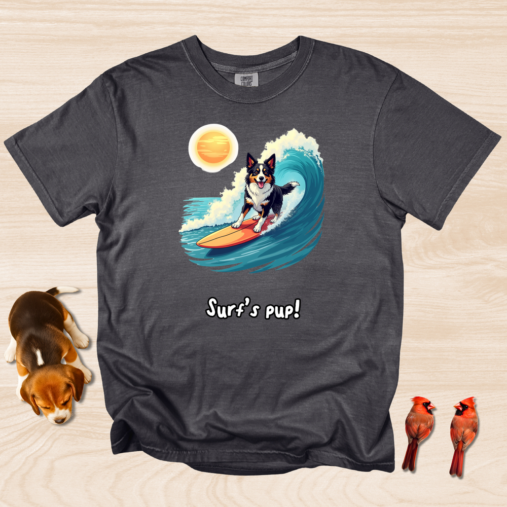 Border Collie Surfing