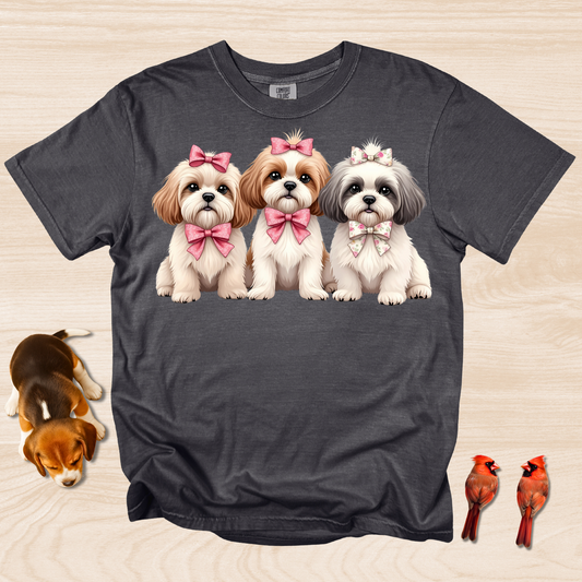 Shih Tzu Trio with Bows