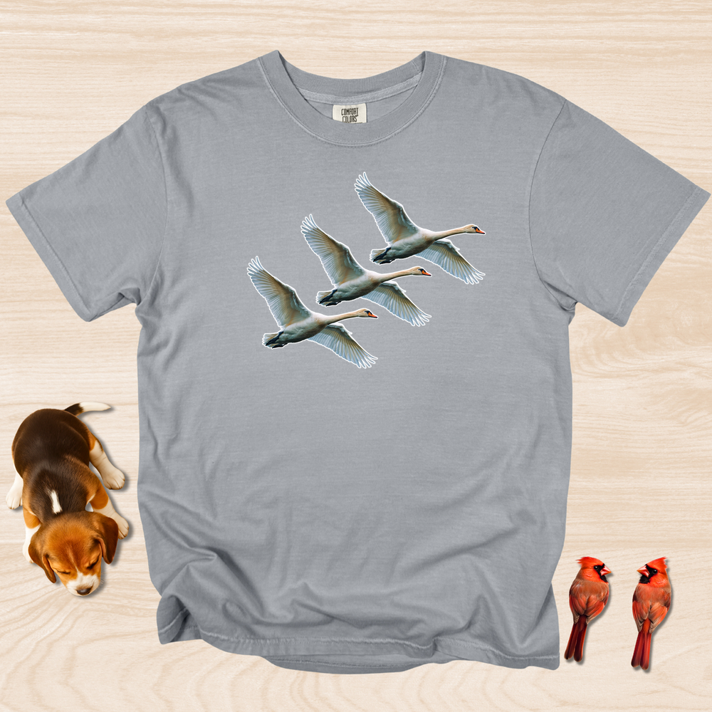 Swans in Flight